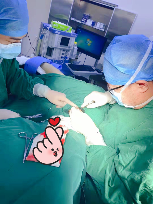 图片4.jpg 图片4.jpg