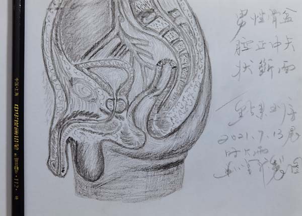 图片_04.jpg 图片_04.jpg