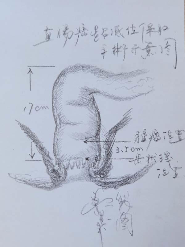 图片_03.jpg 图片_03.jpg