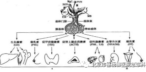 微信图片_20220725145927.jpg 微信图片_20220725145927.jpg