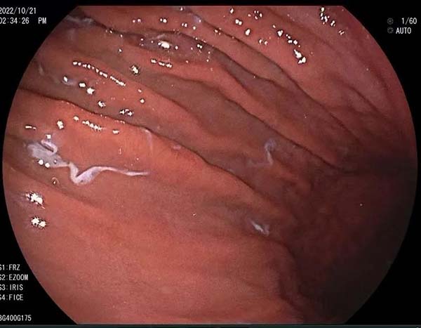 微信图片_20221123161249.jpg 微信图片_20221123161249.jpg