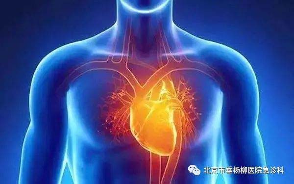 微信图片_20230112165810.jpg 微信图片_20230112165810.jpg