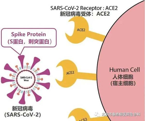 微信图片_20230112165813.jpg 微信图片_20230112165813.jpg