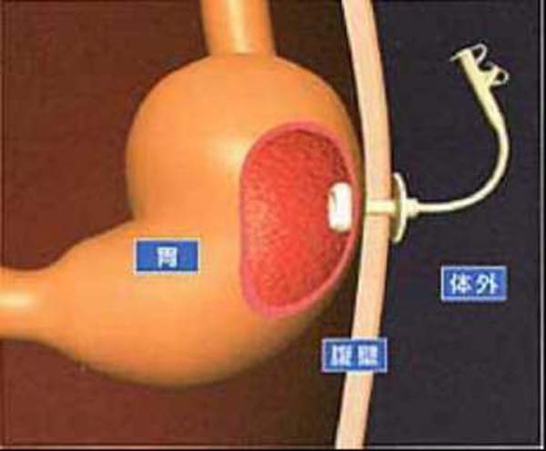 微信图片_20230220154847.jpg 微信图片_20230220154847.jpg