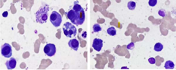 微信图片_20230223085853.jpg 微信图片_20230223085853.jpg