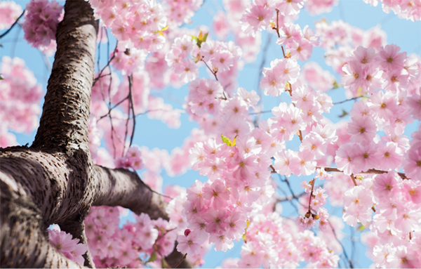 微信图片_20230227144958.jpg 微信图片_20230227144958.jpg