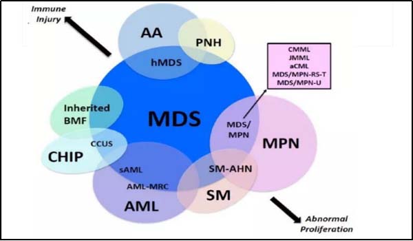 微信图片_20230412093032.jpg 微信图片_20230412093032.jpg