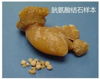 微信图片_20230412135110.jpg 微信图片_20230412135110.jpg