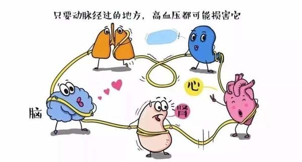 微信图片_20230506123158.jpg 微信图片_20230506123158.jpg