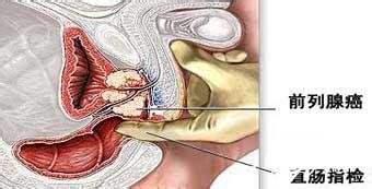 微信图片_20230512103542.png 微信图片_20230512103542.png