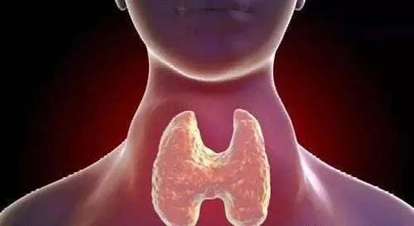 微信图片_20230515152317.jpg 微信图片_20230515152317.jpg