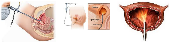 微信截图_20230516152240.png 微信截图_20230516152240.png