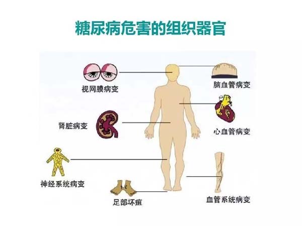 微信图片_20230526110722.jpg 微信图片_20230526110722.jpg