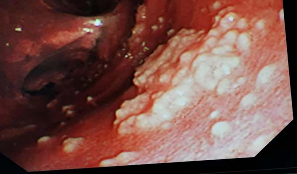 微信图片_20230620140312.jpg 微信图片_20230620140312.jpg