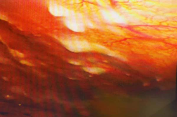 微信图片_20230620140320.jpg 微信图片_20230620140320.jpg