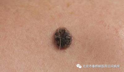 微信图片_20230625170603.jpg 微信图片_20230625170603.jpg