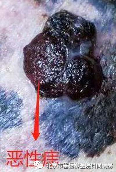 微信图片_20230625170605.jpg 微信图片_20230625170605.jpg