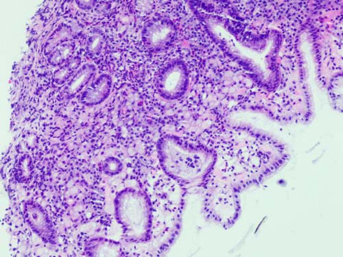 微信图片_20230628170452.jpg 微信图片_20230628170452.jpg