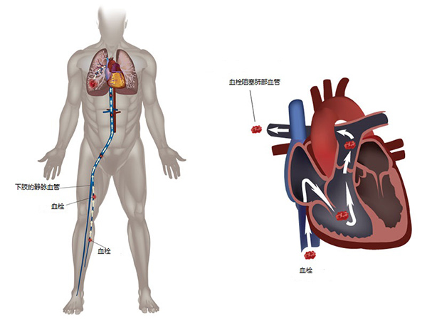 微信图片_20230905173827.jpg 微信图片_20230905173827.jpg