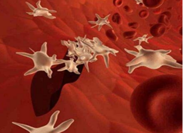 640 (4).png 640 (4).png