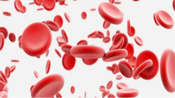 640 (16)_1.jpg 640 (16)_1.jpg