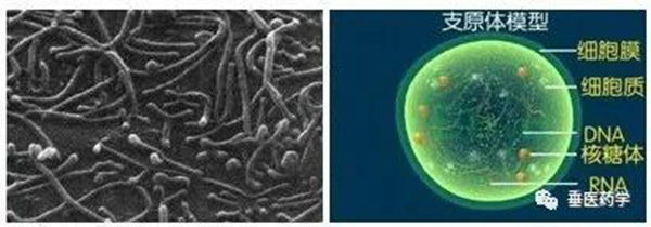 640 (3).jpg 640 (3).jpg