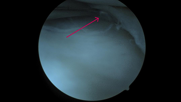 640-(2).jpg 640-(2).jpg