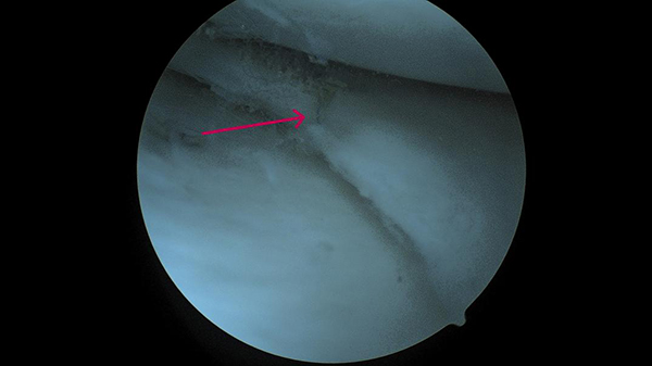 640-(3).jpg 640-(3).jpg