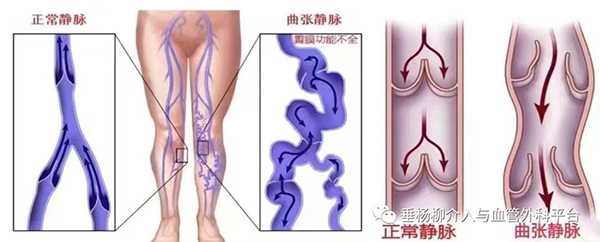 640-(2).jpg 640-(2).jpg