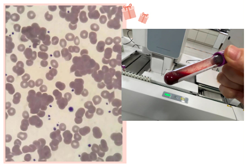 未标题-1.jpg 未标题-1.jpg