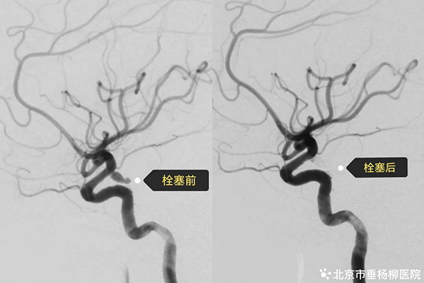 660926ee3a843c0001343668.png 660926ee3a843c0001343668.png