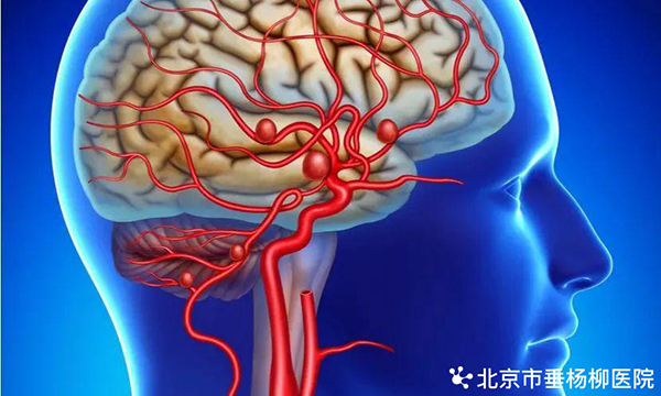 660926ee3a843c000134366a.png 660926ee3a843c000134366a.png