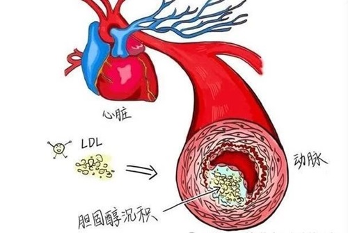 微信图片_20240710151849.jpg 微信图片_20240710151849.jpg