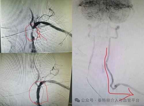 微信图片_20240710151902.jpg 微信图片_20240710151902.jpg