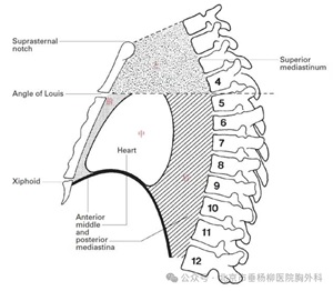 微信图片_20241021173738.jpg 微信图片_20241021173738.jpg
