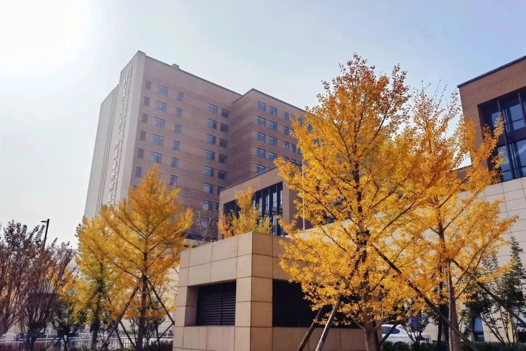 【垂医荣誉】祝贺!医院病理科八大肿瘤单病种质控全部通过国家验证