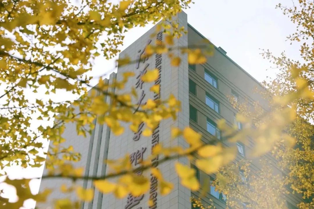 【杨柳服务】让生命最后的路程不再孤单:安宁疗护社工的临终摆渡